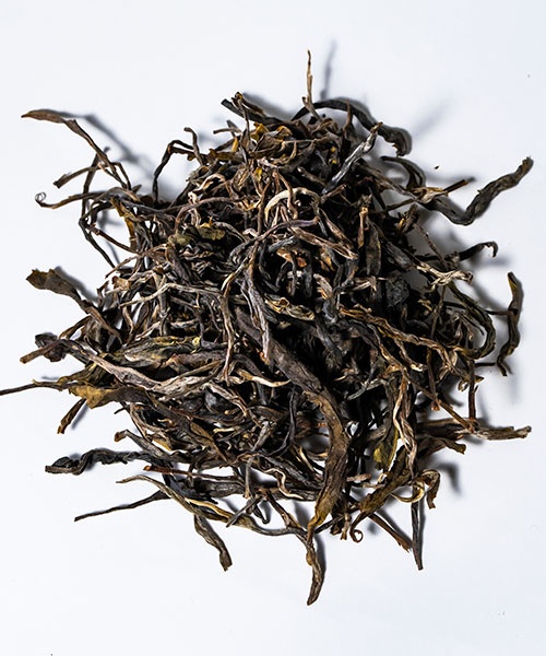 Mensong Gushen2023 3