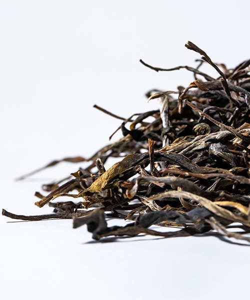 Mensong Gushen2023 4