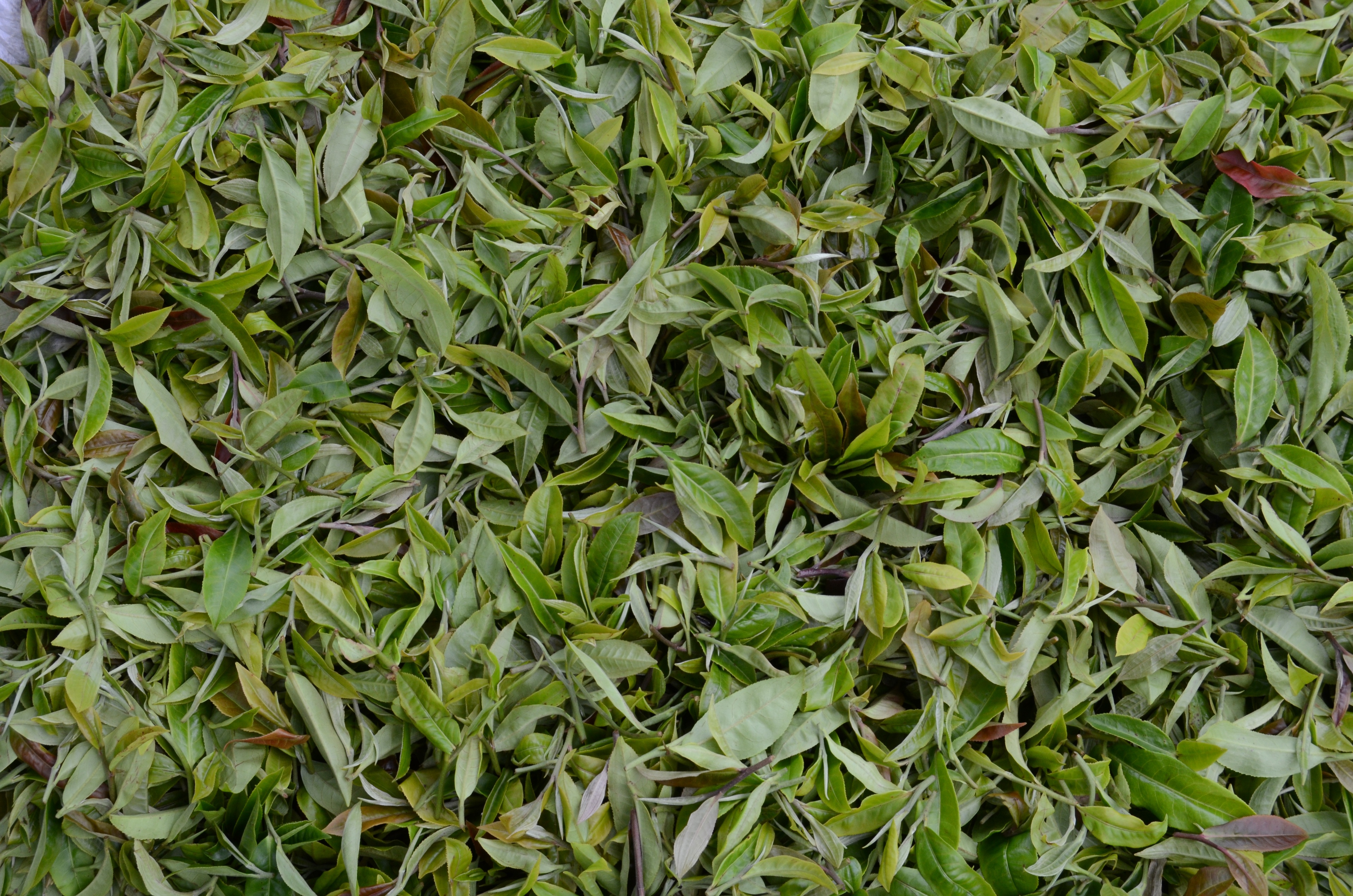 Поставщики 189